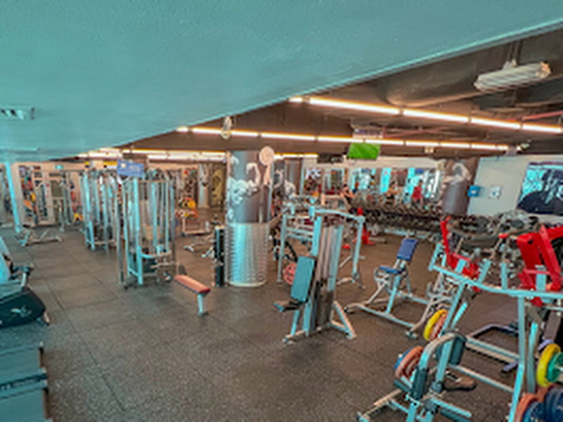 Fe Gym