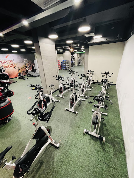 معهد اوميغا الصحي للرجال omega gym for men photo 4