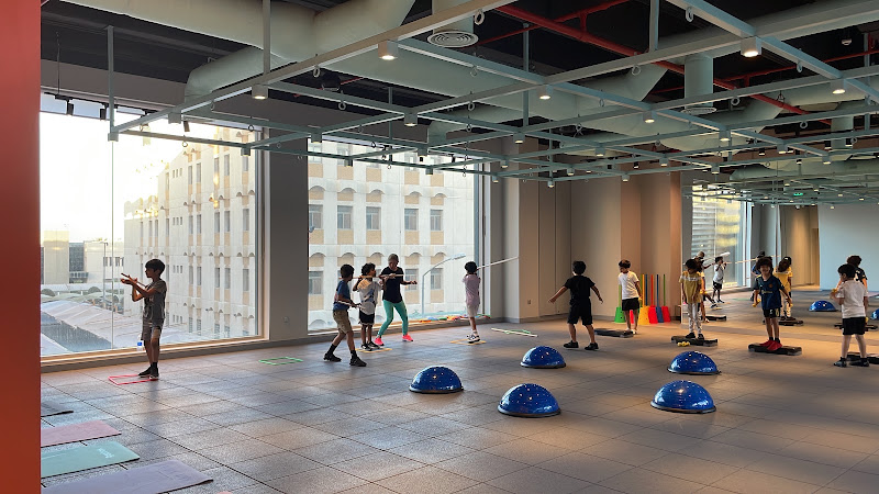 Ludu Fit kids gym photo 3