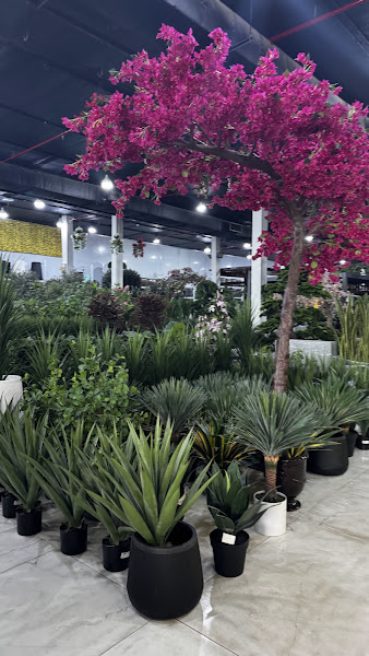 Naif Garden