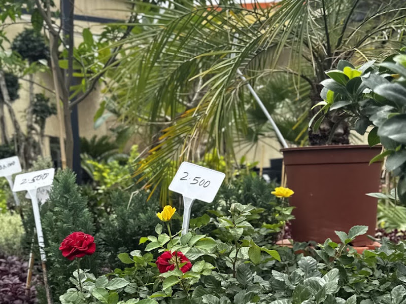 مشاتل الموينع الزراعية photo 5