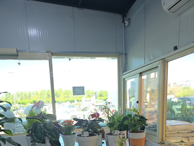 Nour Nursery photo 2