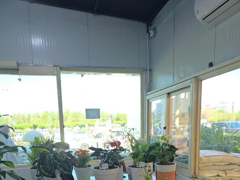 Nour Nursery photo 4