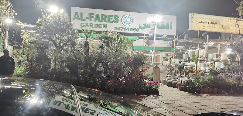 حدائق الفارس photo 2
