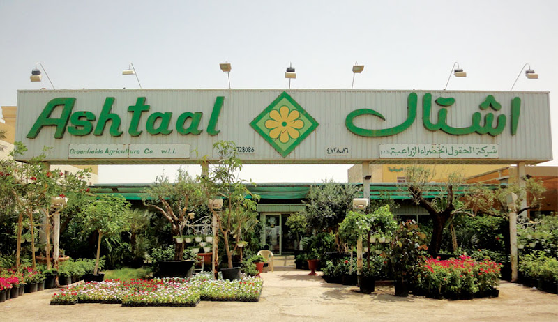 Ashtaal photo 5