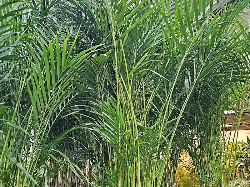 مشاتل الجهراء photo 4