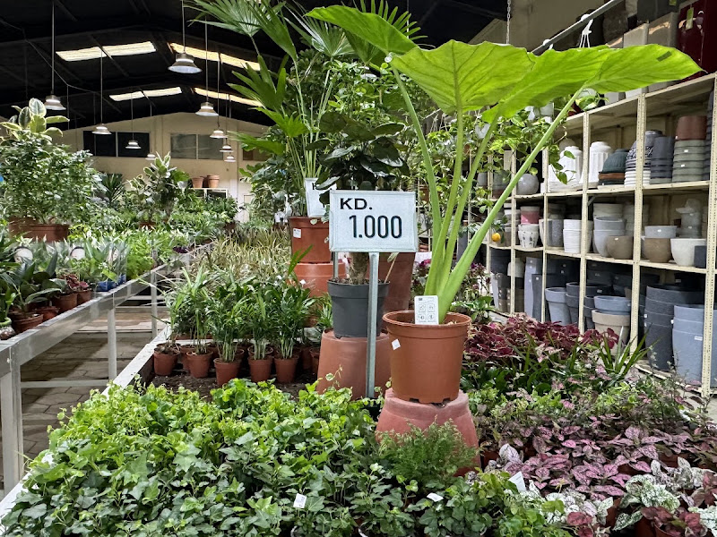 Janayen Nursery photo 2