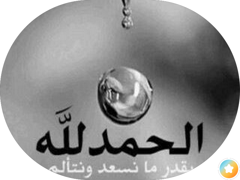 مجمع الدبوس photo 4
