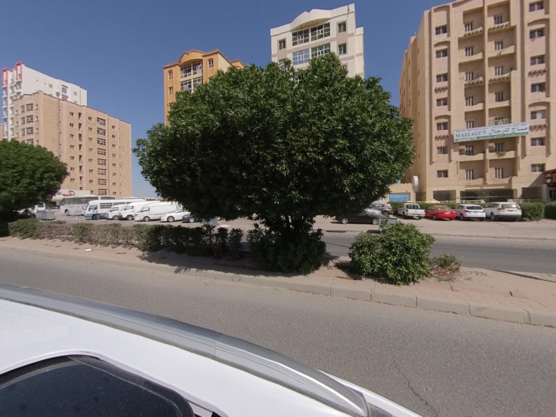 مصبغة الزعيم photo 3
