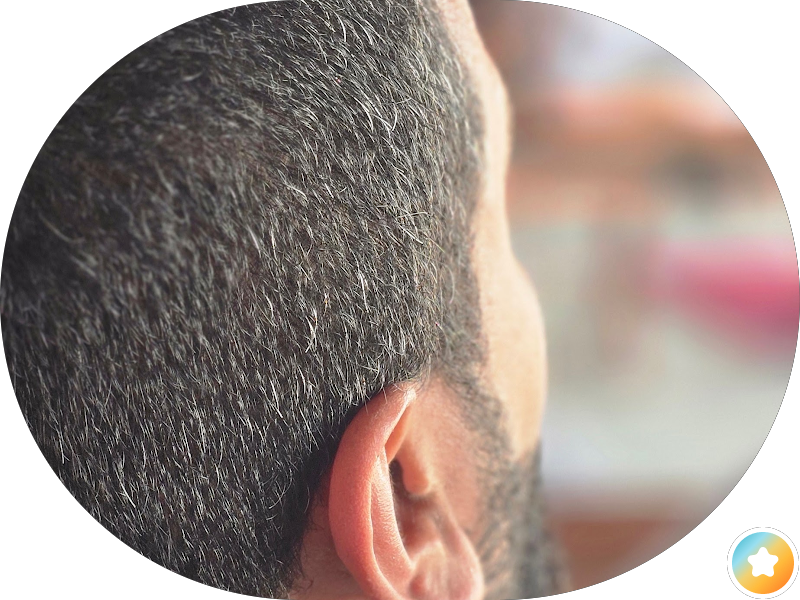 معهد صحي نكست سبا photo 2