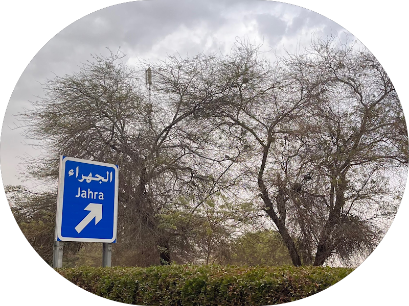 AlBabtain Auto, Oyoun Oula Station - البابطين اوتو العيون، الاولى للوقود photo 5