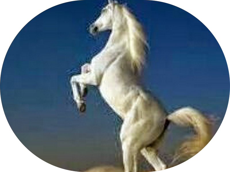 صيدلية نيو ريان photo 5