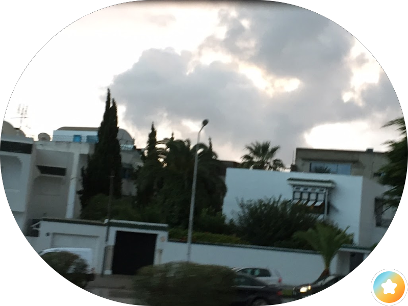 مكتبة جامعة الكويت المركزية photo 2