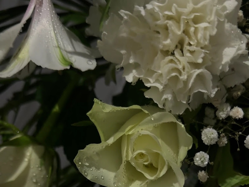 ركن الزهور photo 3