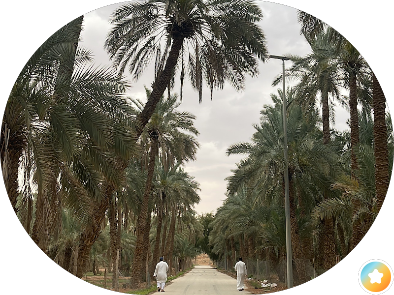 مطعم كابوريا
