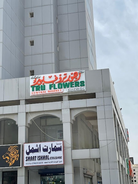 TF_TASEEM AL FANNI photo 4