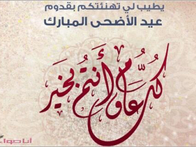 ياسمين الشام photo 5