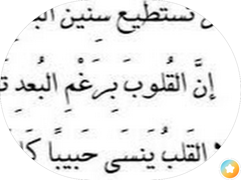 مانغو هايبر الشويخ photo 5