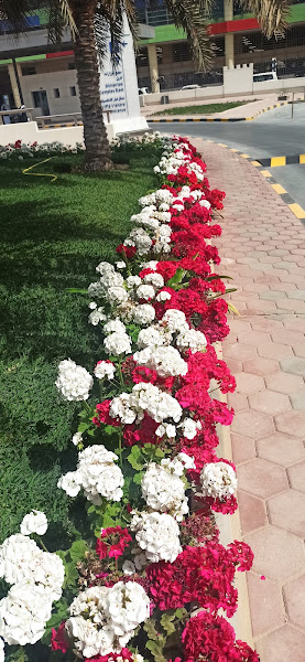 وزارة المالية photo 4