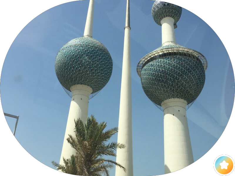 المؤسسة العامة للتأمينات الاجتماعية photo 3