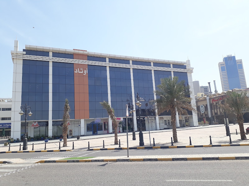الشركة اللاسلكية للبيانات المتنقلة
