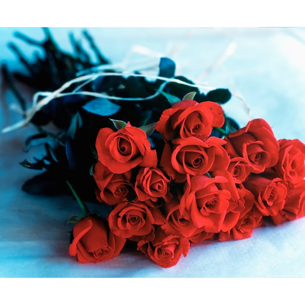 محل بيع ورد photo 4