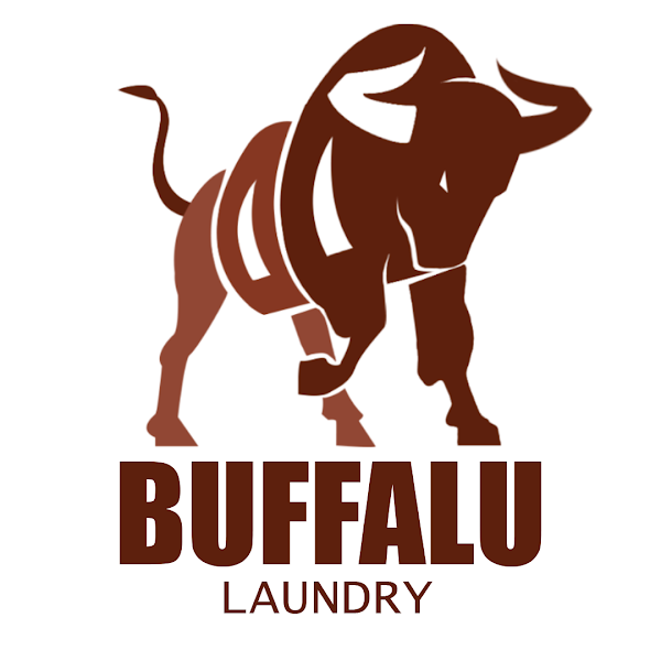 buffalu laundry photo 2