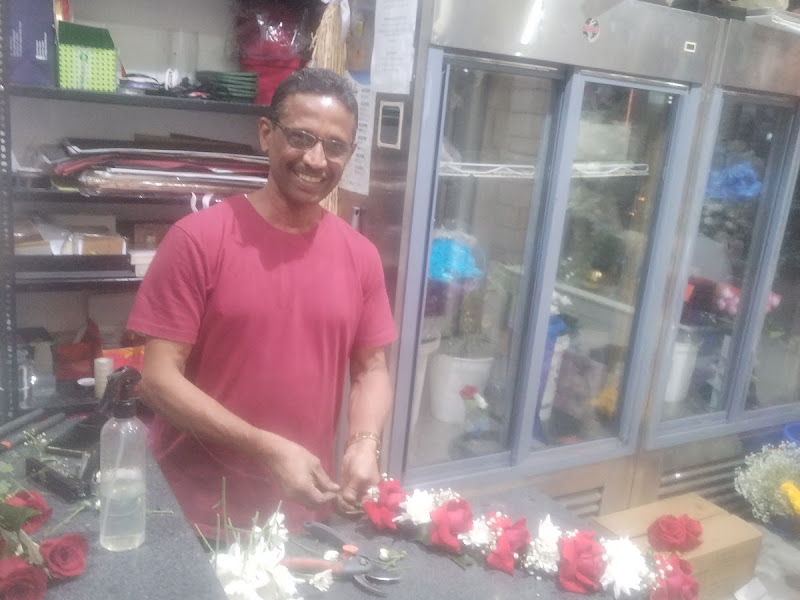 rivera rose زهور ريفيرا photo 2