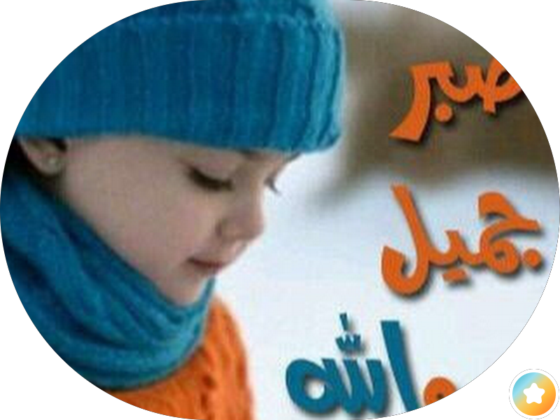 rivera rose زهور ريفيرا photo 3