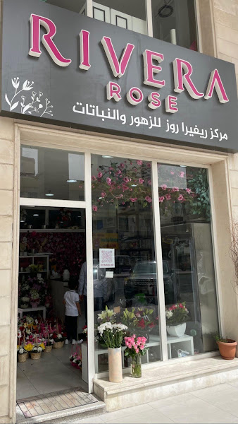 rivera rose زهور ريفيرا photo 5