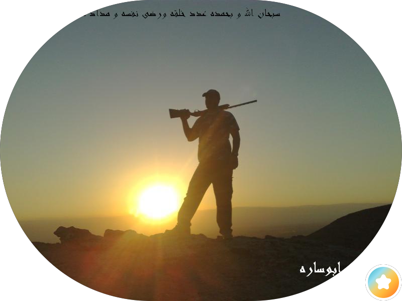 شركة بحر الخليج