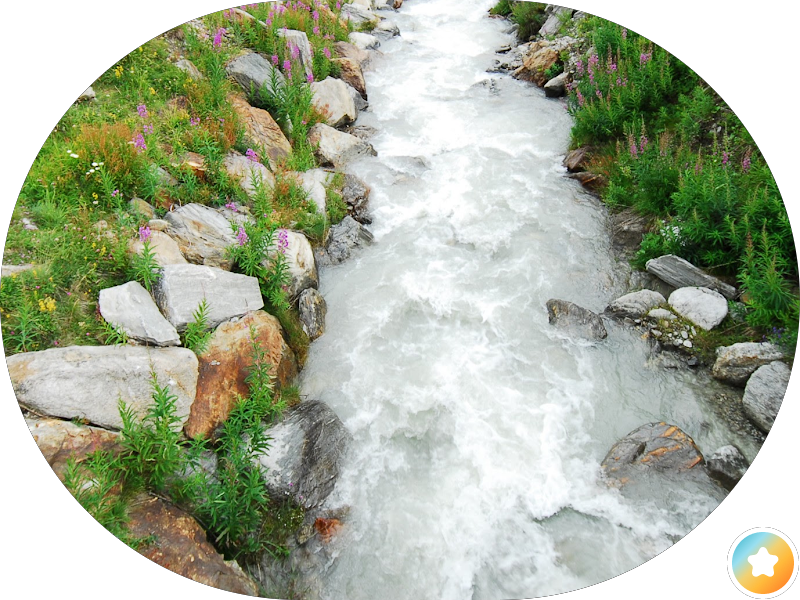 ونش سحب سيارات Al-shatti photo 3