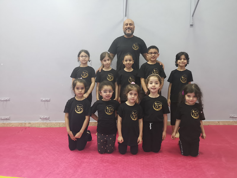 Family Academy gymnastics photo 2