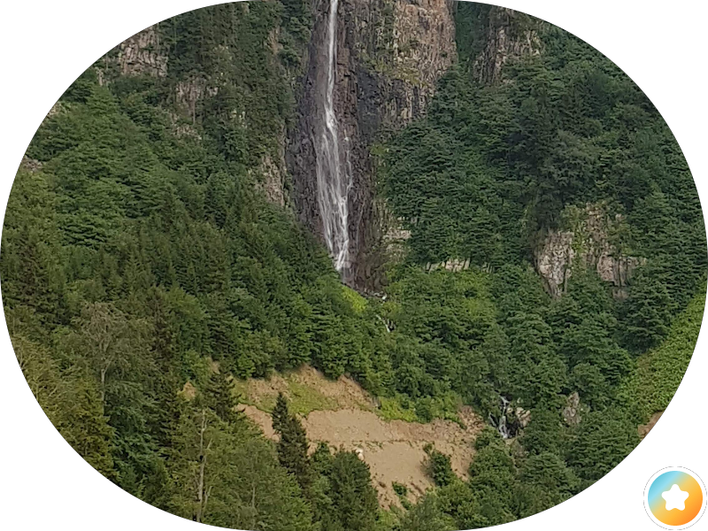 منتجات شادن العنايه الطبيعيه للشعر photo 3
