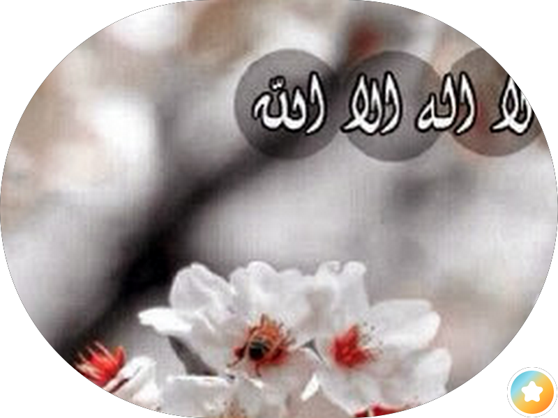 مطعم قصر الاغا photo 5