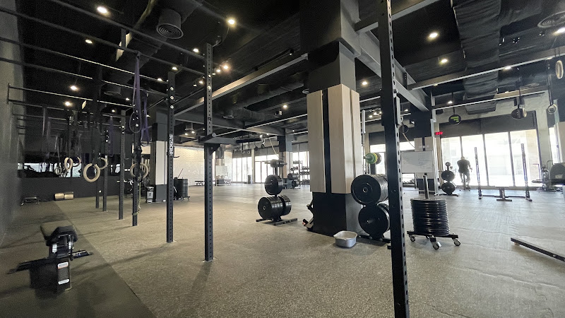 Force Gym photo 4