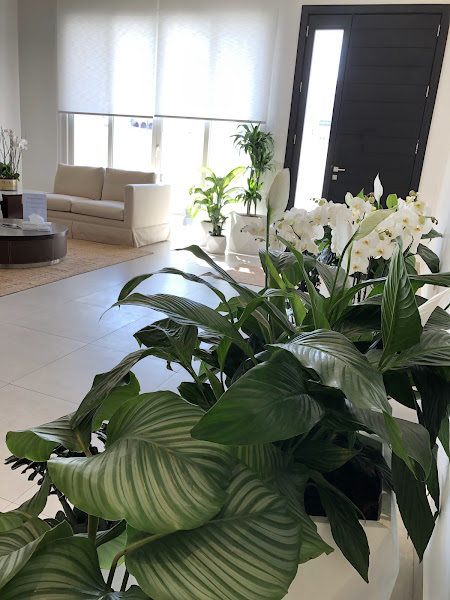 Nafas wellness center