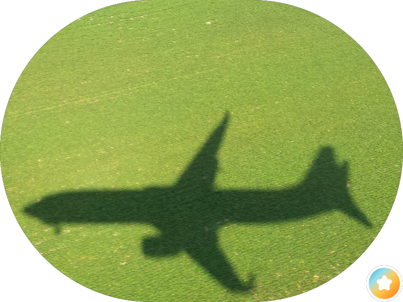 صيدليه فيت بوتيك vet boutique ph