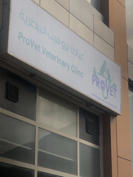 Pro Vet Clinic - عيادة بروفيت البيطرية photo 3