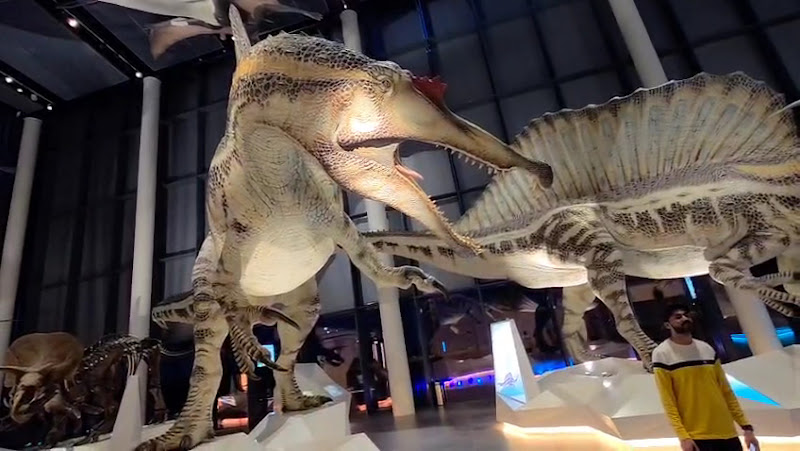 مركز الشيخ عبدالله السالم الثقافي photo 2