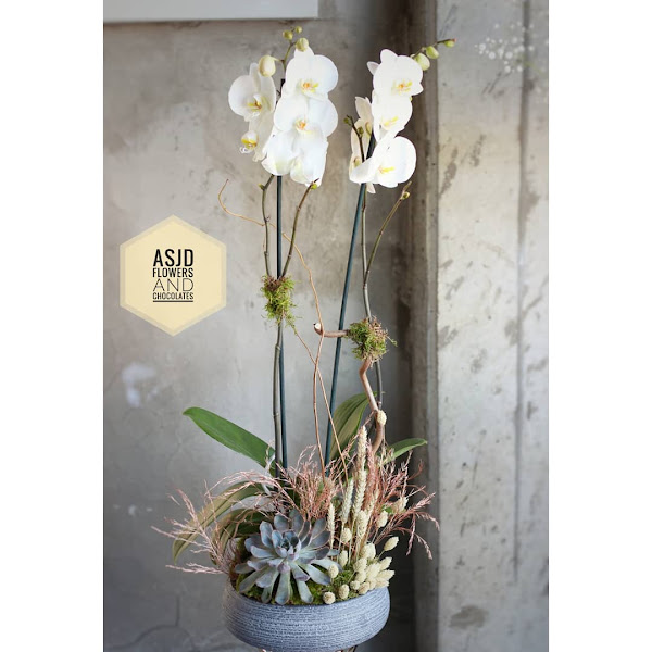 عسجد ورد وكاكاو / زهور وهدايا Asjad Flowers photo 4