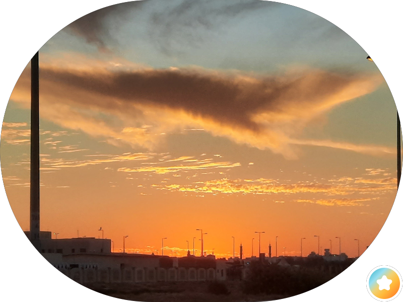 دجاج كنتاكى photo 5
