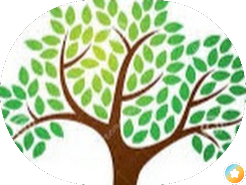 ادارة مدارس التربية الخاصة photo 4