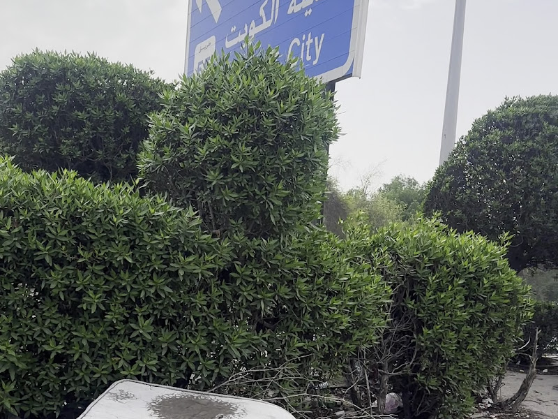 الادارة العامة لمنطقة الفروانية التعليمية photo 5