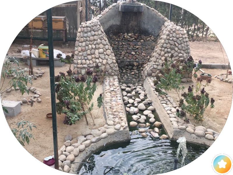 مطعم كشري ومشويات photo 5