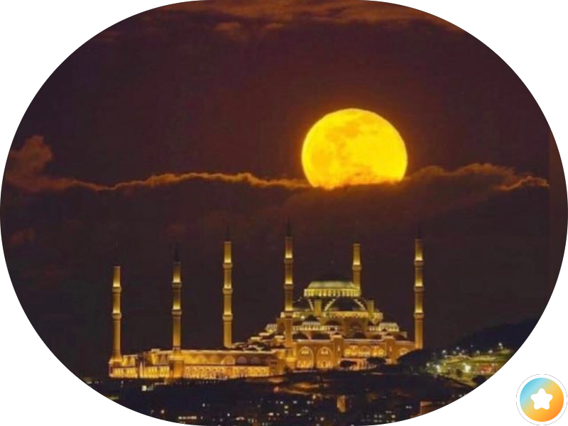 مجموعة شركات العيسى photo 4