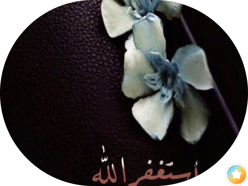 كراج الشامري photo 4
