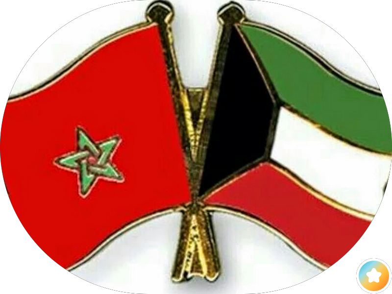 محاميه نور المطيري photo 5