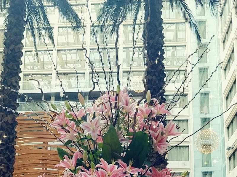 صالون نسائي photo 5