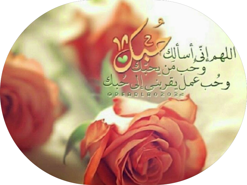 صالون للسيدات photo 5